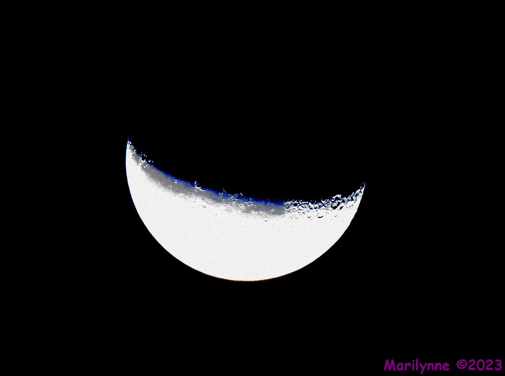 DSC_6983_001.JPG