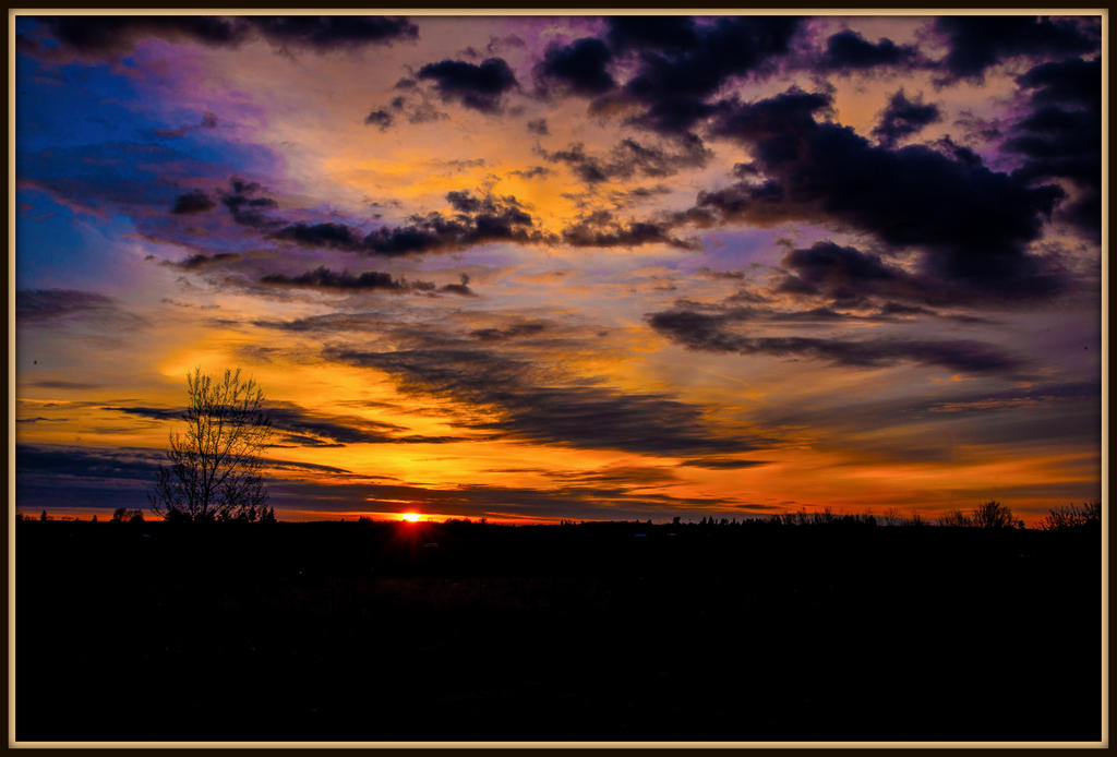 DSC_6998-Edit.jpg