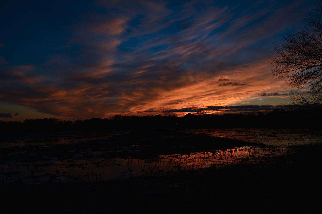 DSC_6999.jpg