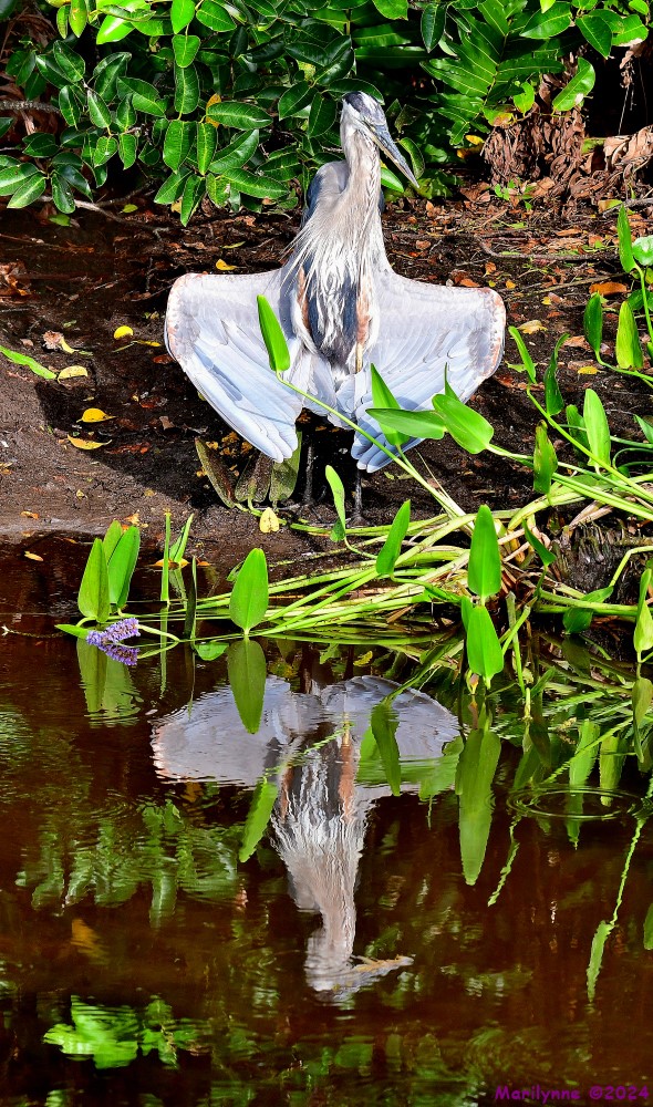 DSC_6999_stitch5_001.JPG