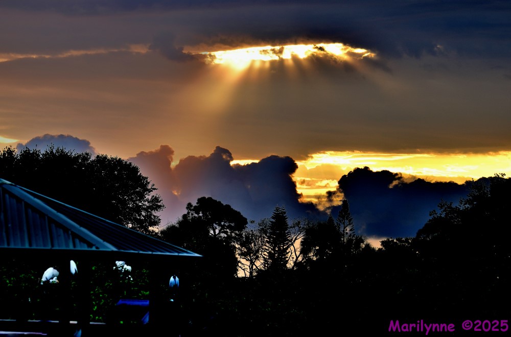 DSC_7005_stitch4_001.JPG