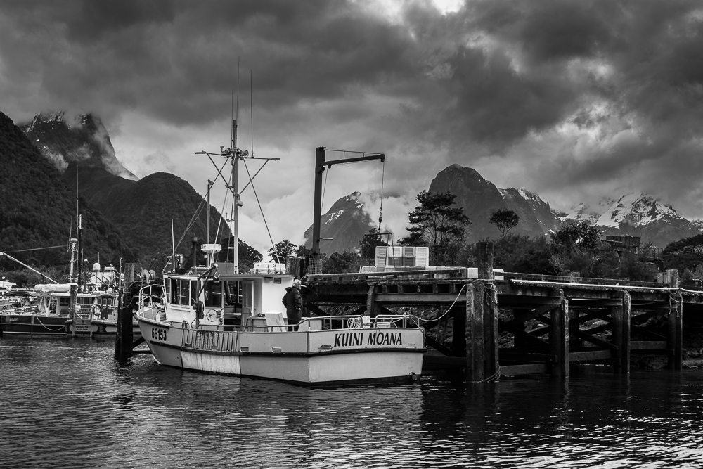 DSC_7016.jpg