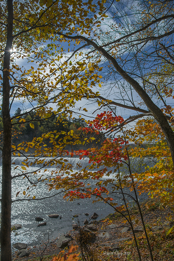 DSC_7019.jpg