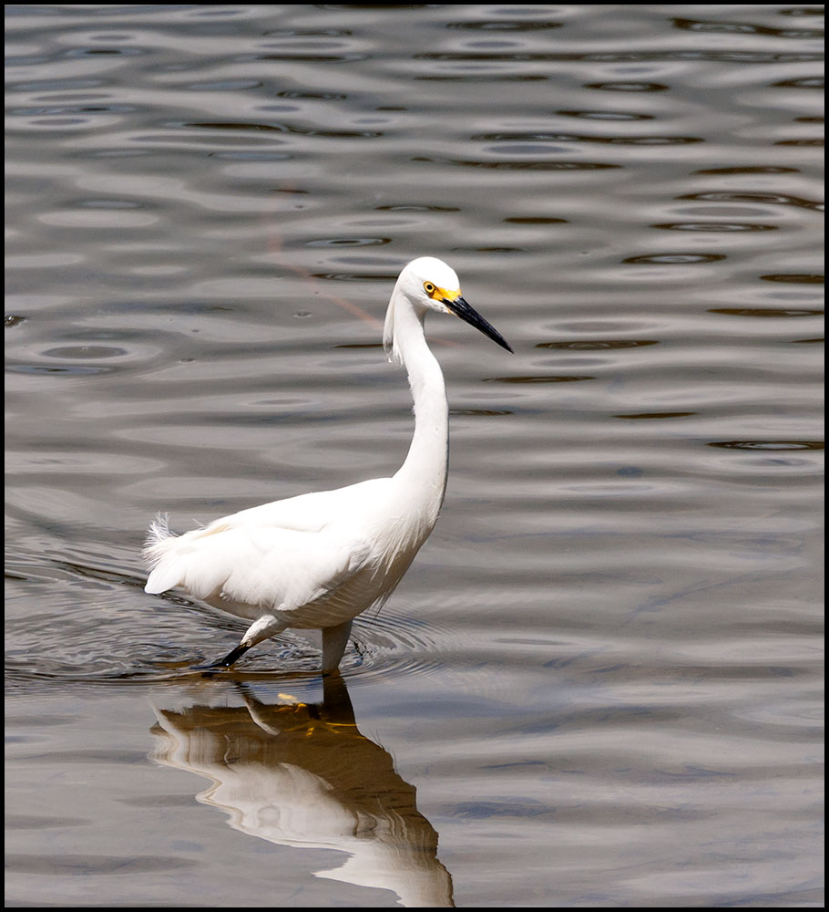 DSC_7024.jpg