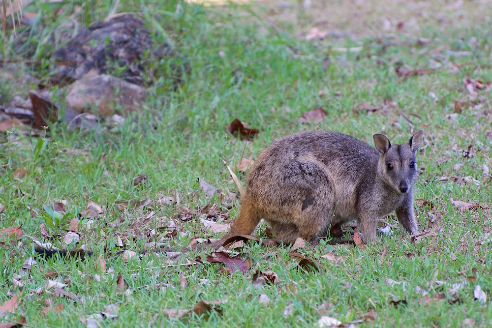 DSC_7026.jpg