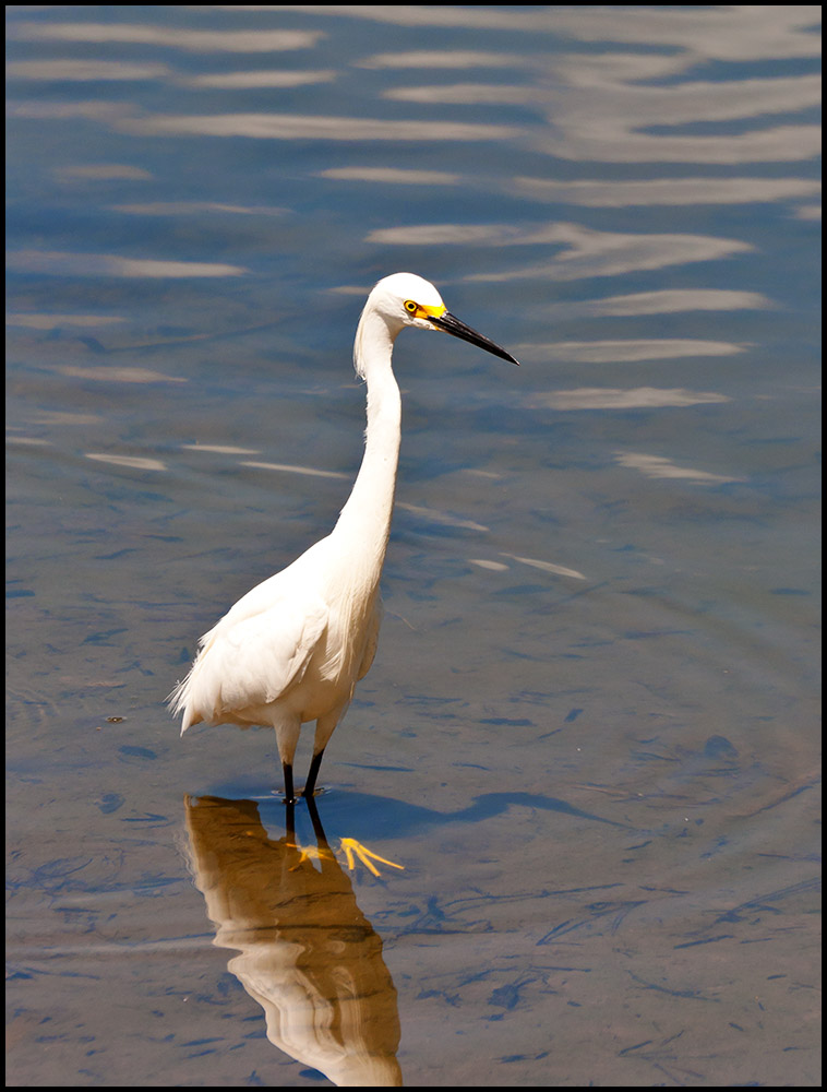 DSC_7029.jpg