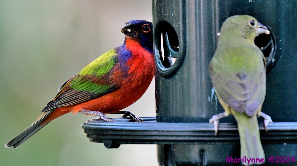 DSC_7034_001.JPG