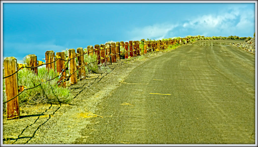 DSC_7035-Edit.jpg