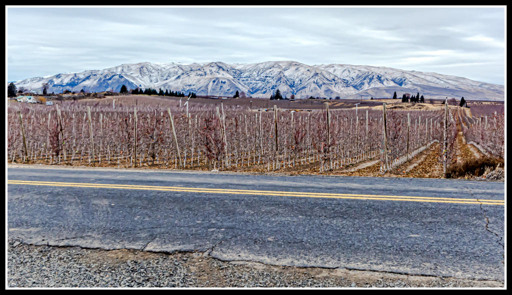 DSC_7038-Edit.jpg