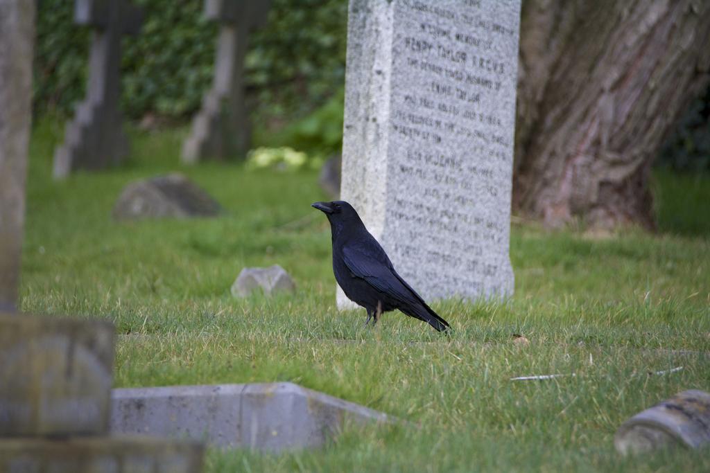 DSC_7052.jpg