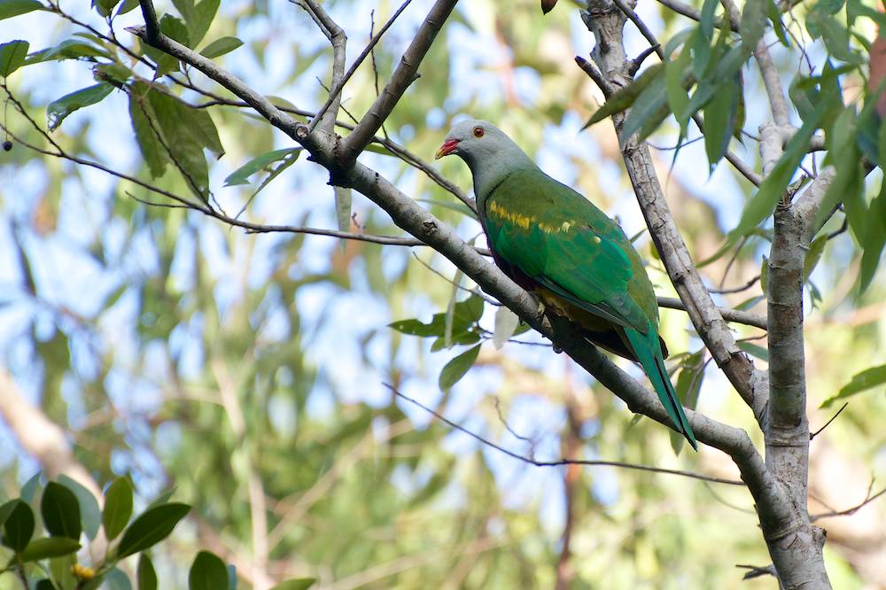 DSC_7054.jpg