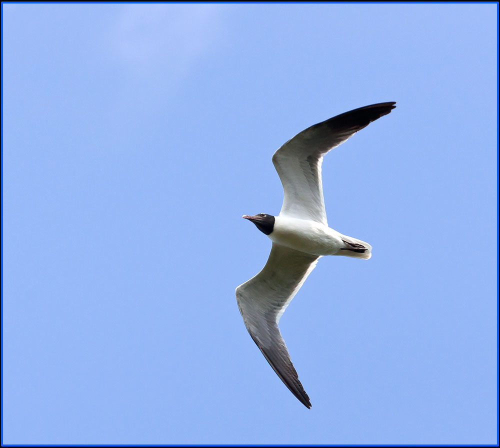 DSC_7054.jpg