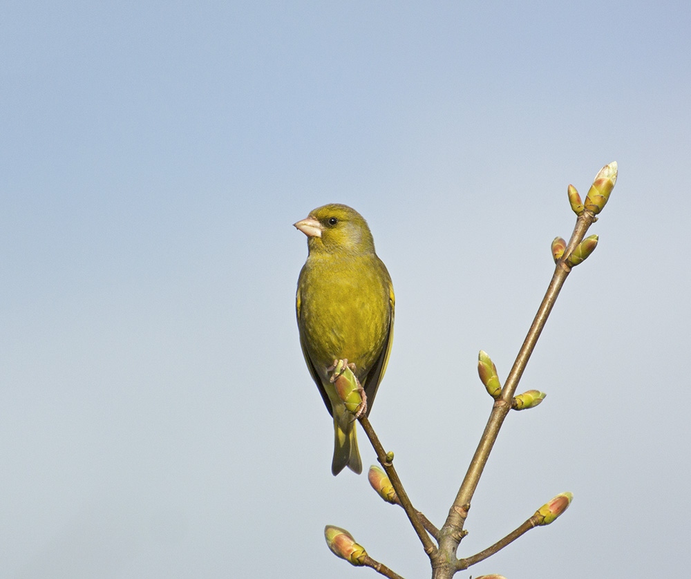 DSC_7056.jpg