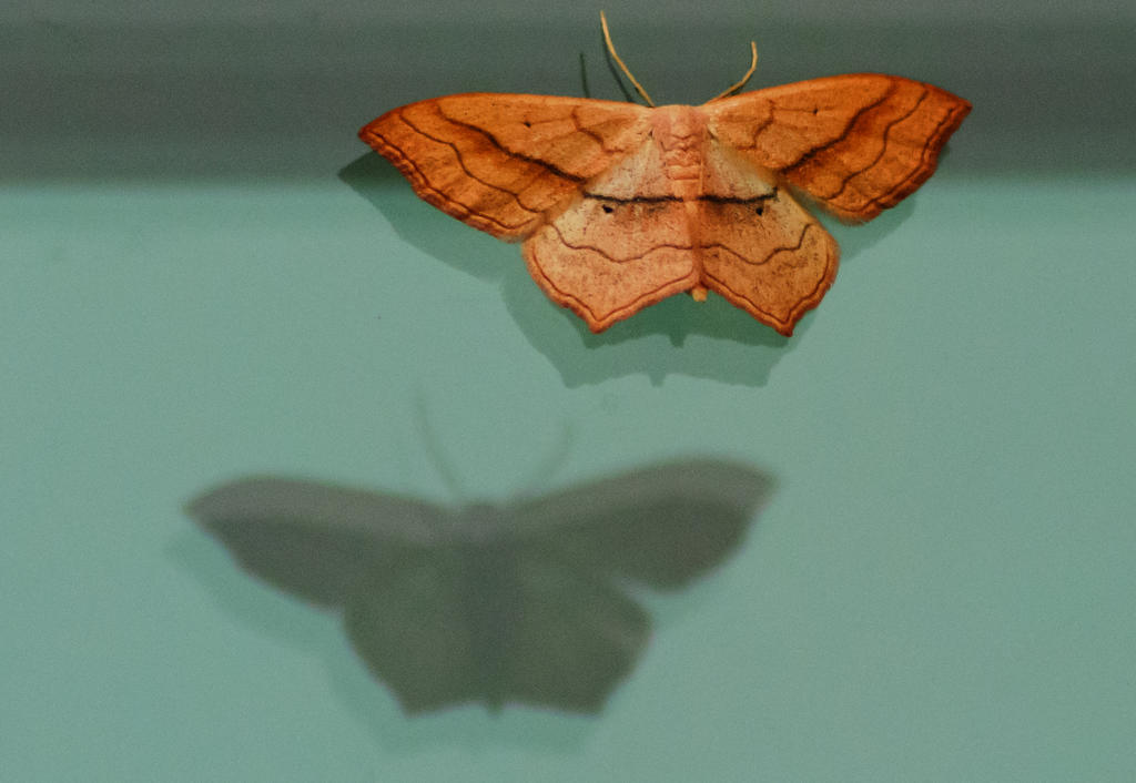 DSC_7058_edited-6.jpg