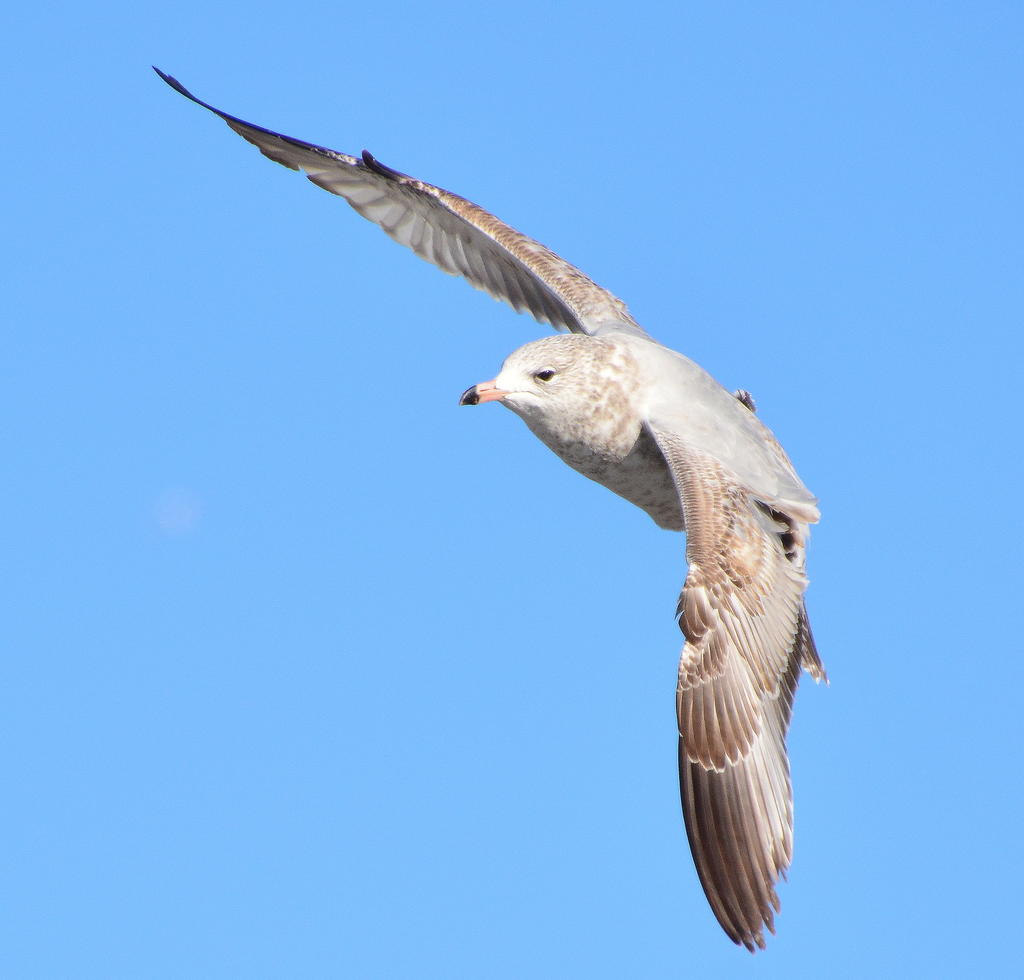 DSC_7059.jpg