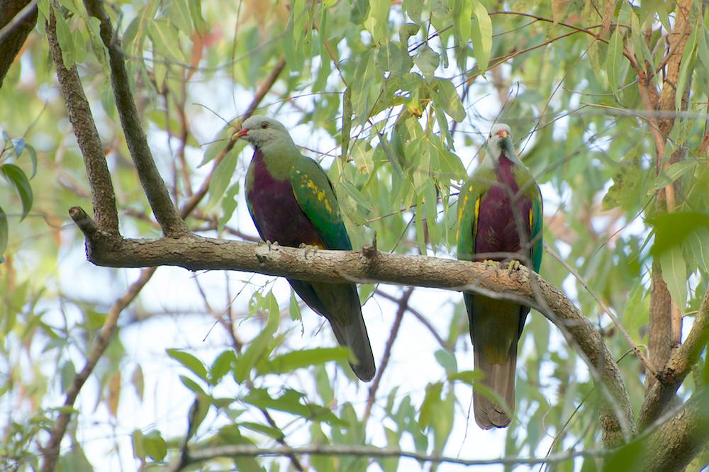DSC_7069.jpg