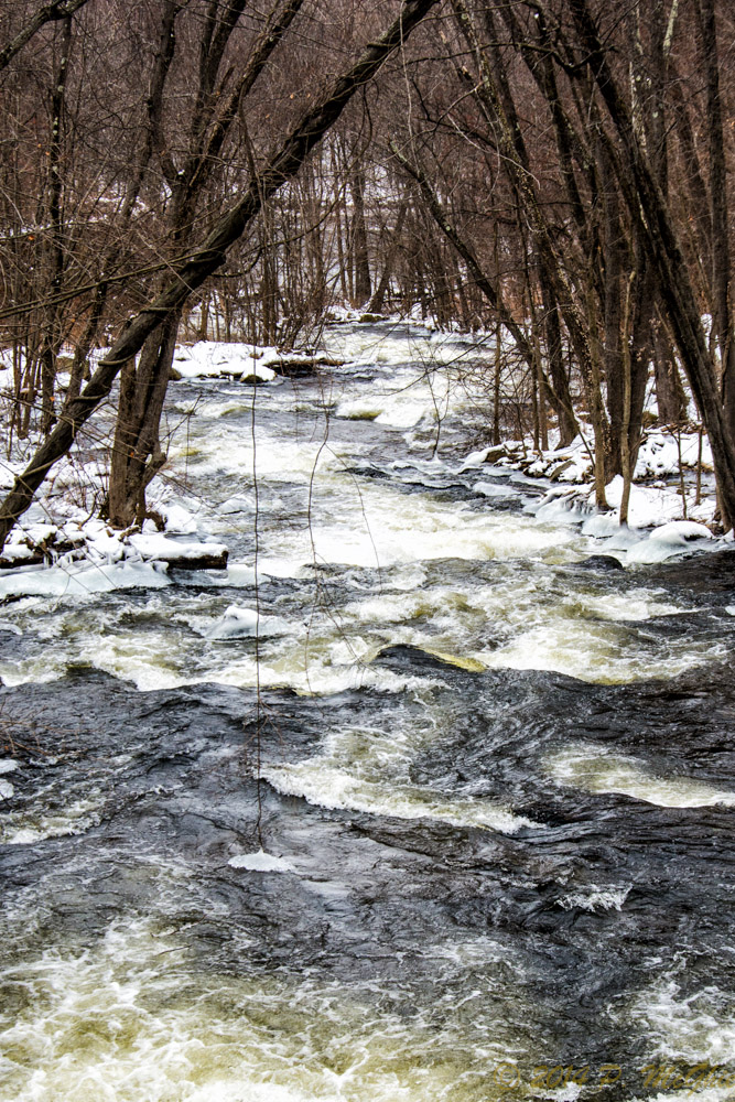 DSC_7079-Edit.jpg