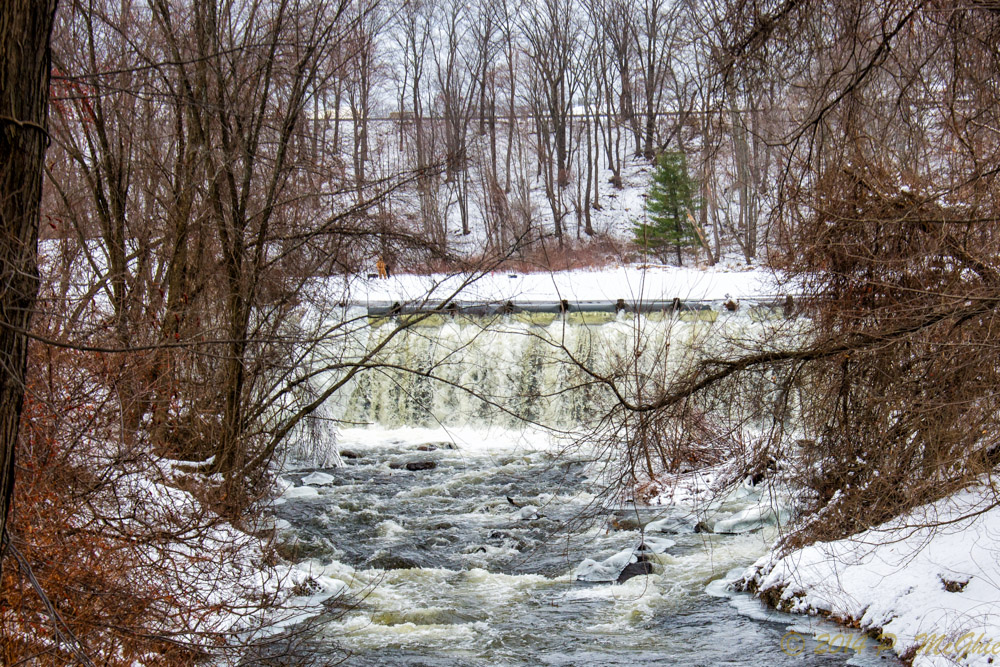 DSC_7082-Edit.jpg