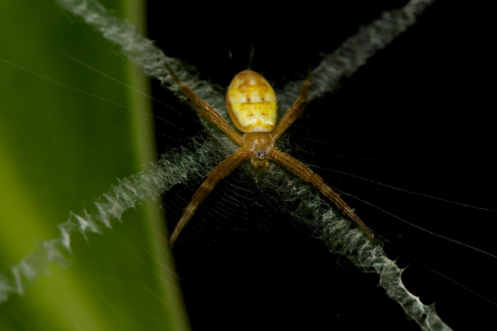 DSC_7083.jpg
