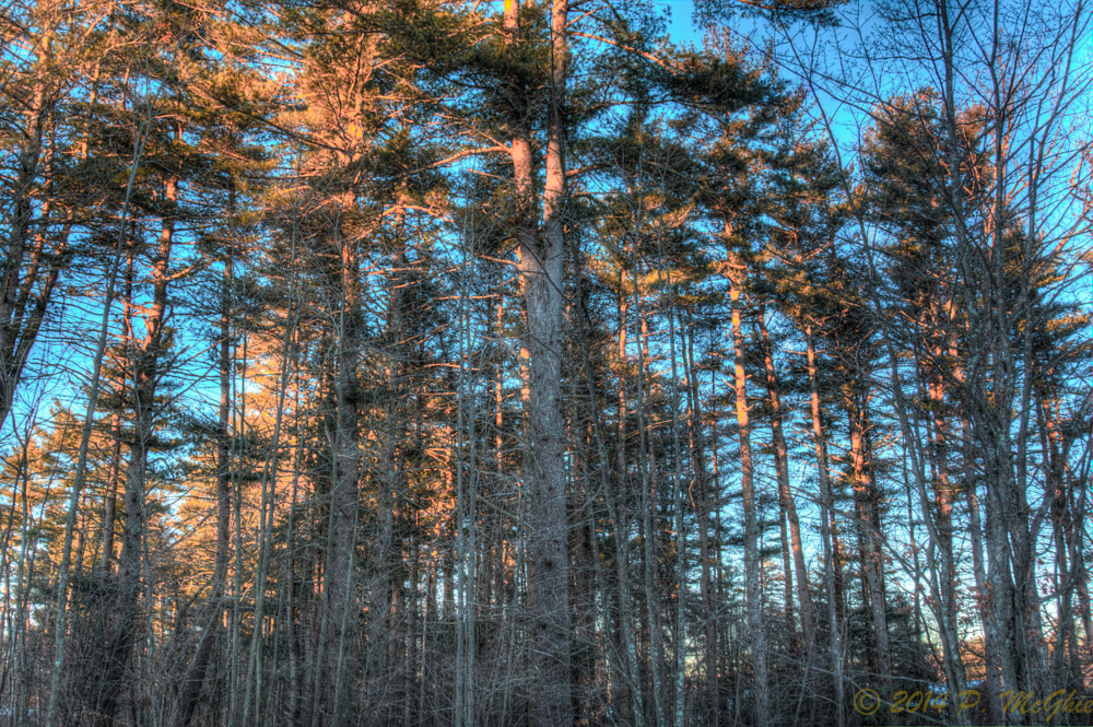 DSC_7084_5_6_7_8_tonemapped.jpg