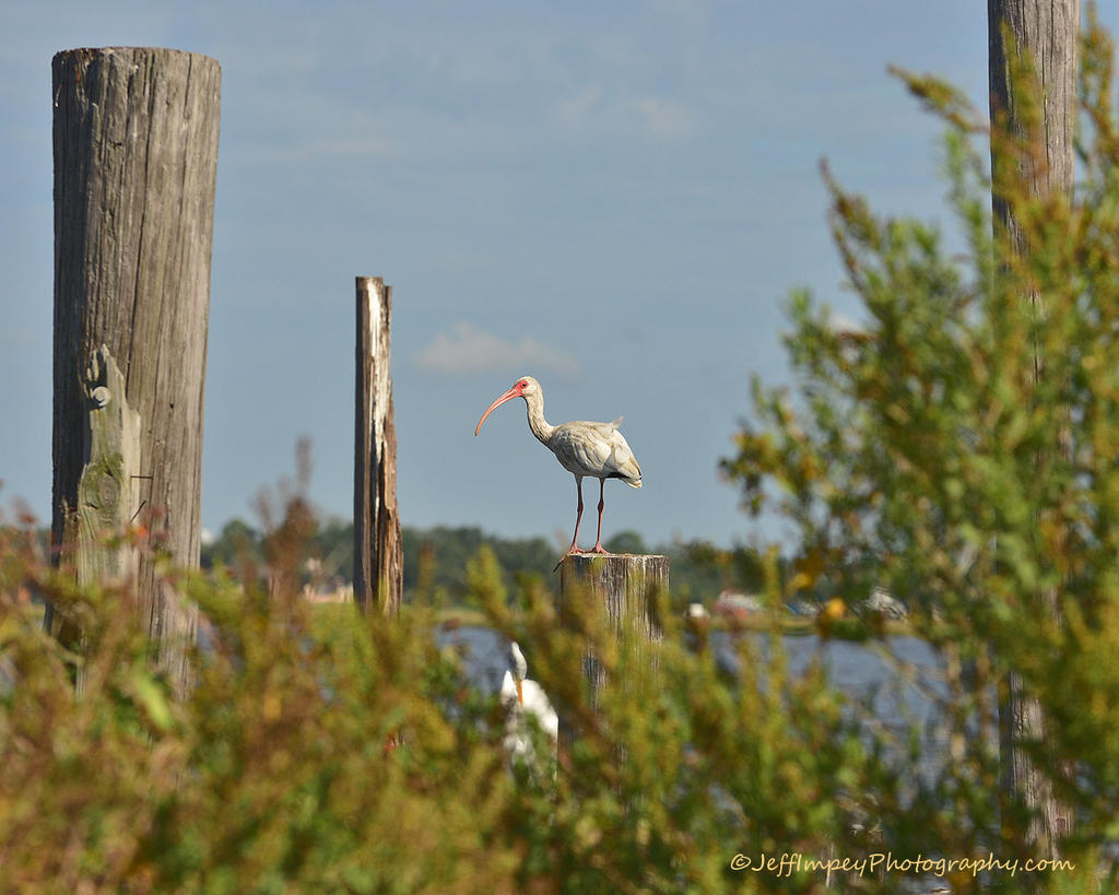 DSC_7089.jpg