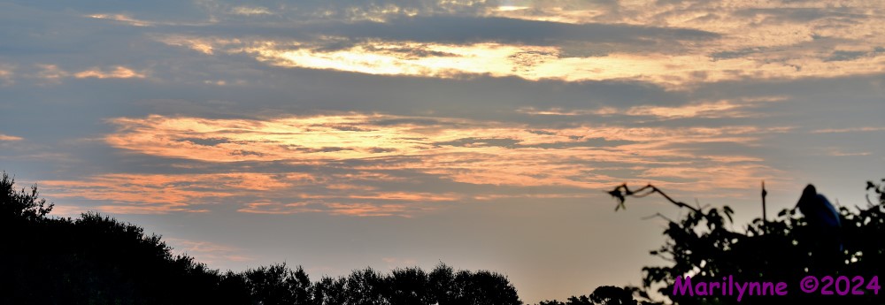 DSC_7090_stitch4_001.JPG
