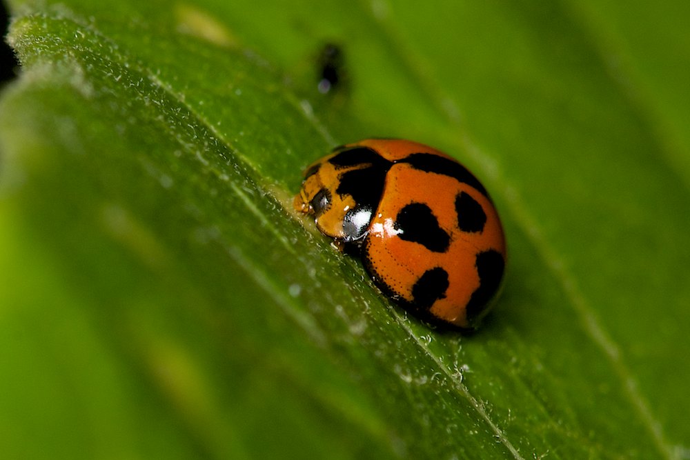 DSC_7092.jpg