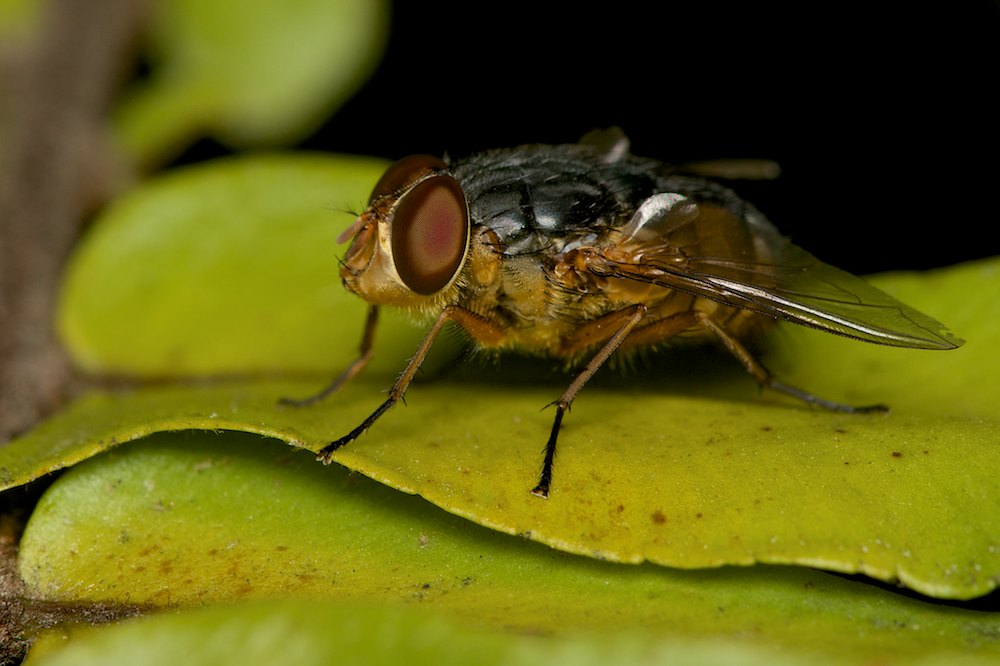 DSC_7093.jpg