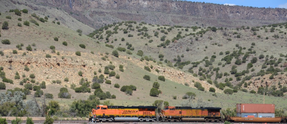 DSC_7095.JPG