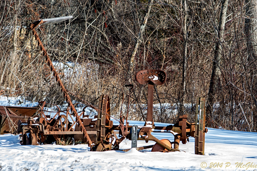 DSC_7099-Edit.jpg