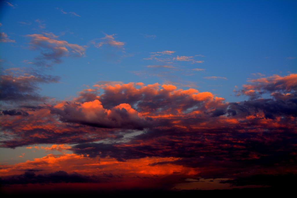 DSC_7099.jpg