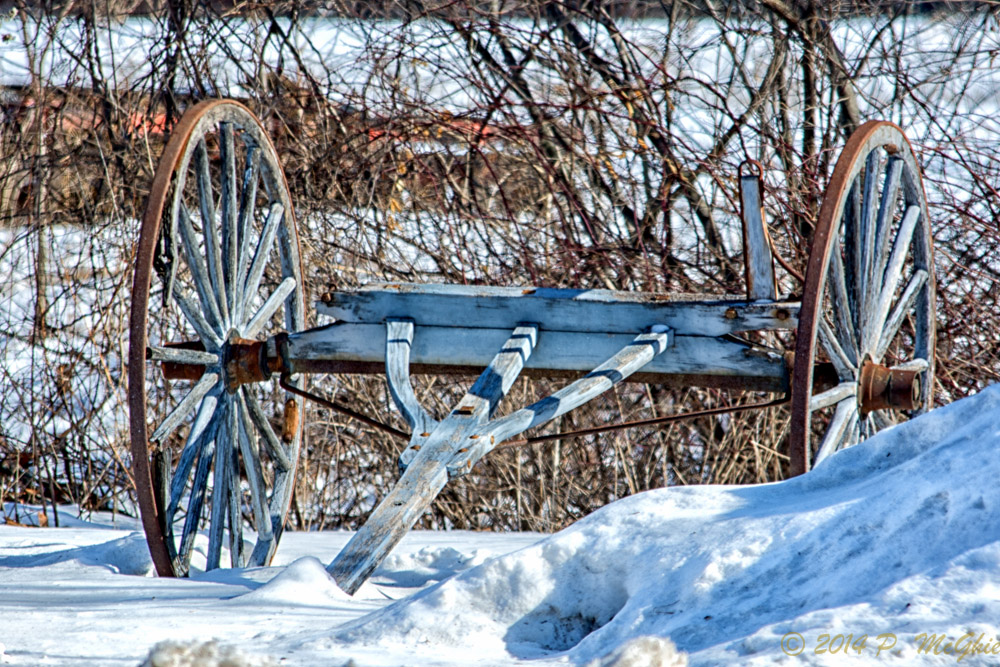 DSC_7100-Edit.jpg