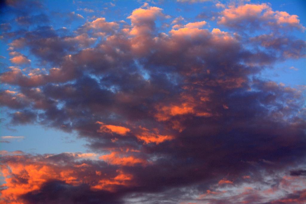 DSC_7101.jpg