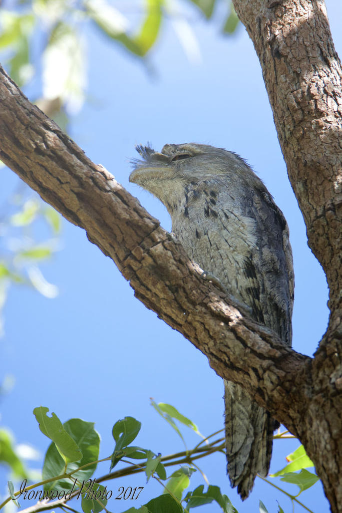 DSC_7108.jpg