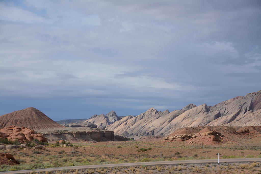 DSC_7109.jpg