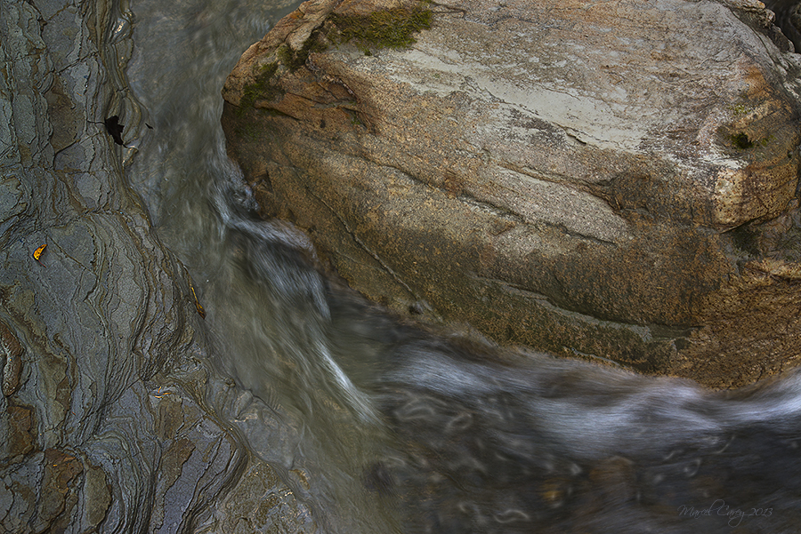 DSC_7112.jpg