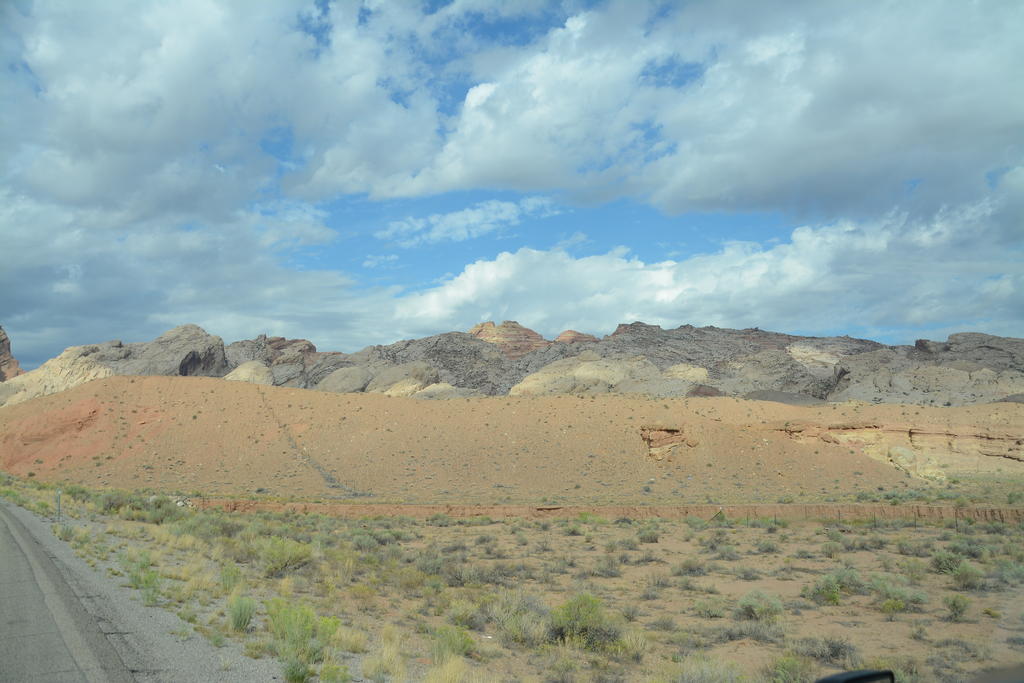 DSC_7117.jpg