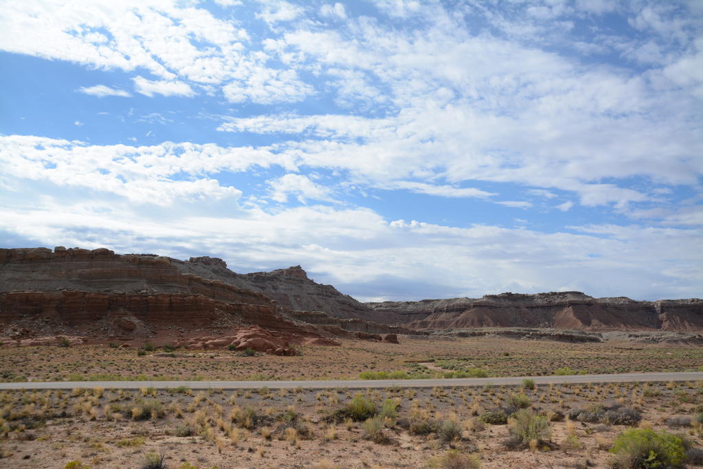 DSC_7118.jpg