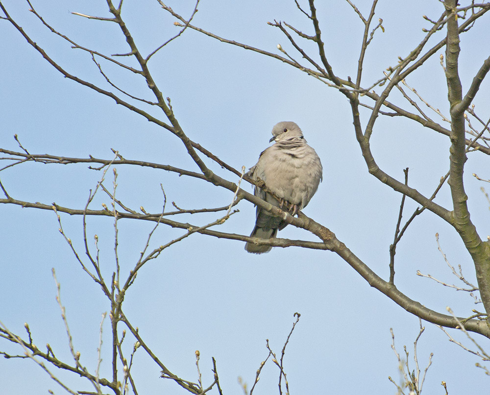 DSC_7122.jpg