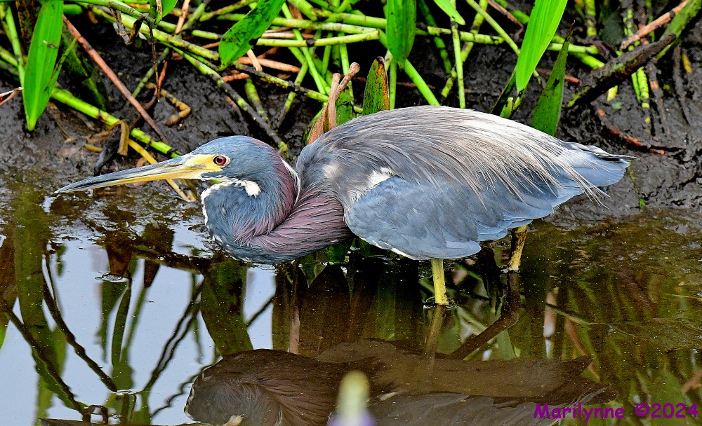 DSC_7122_001.JPG