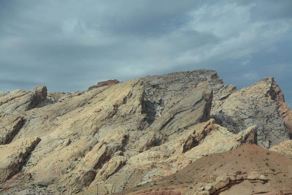 DSC_7124.jpg