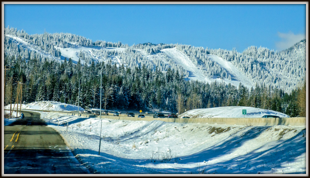 DSC_7124.jpg