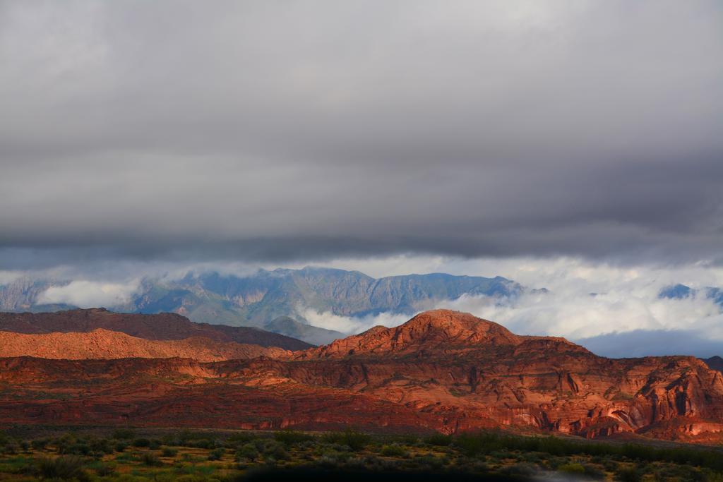 DSC_7129.jpg