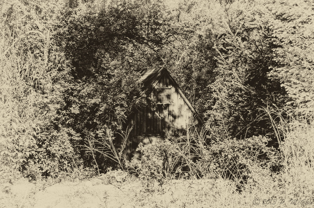 DSC_7130-Edit.jpg