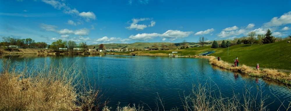 DSC_7132 Stitch (1000x383).jpg