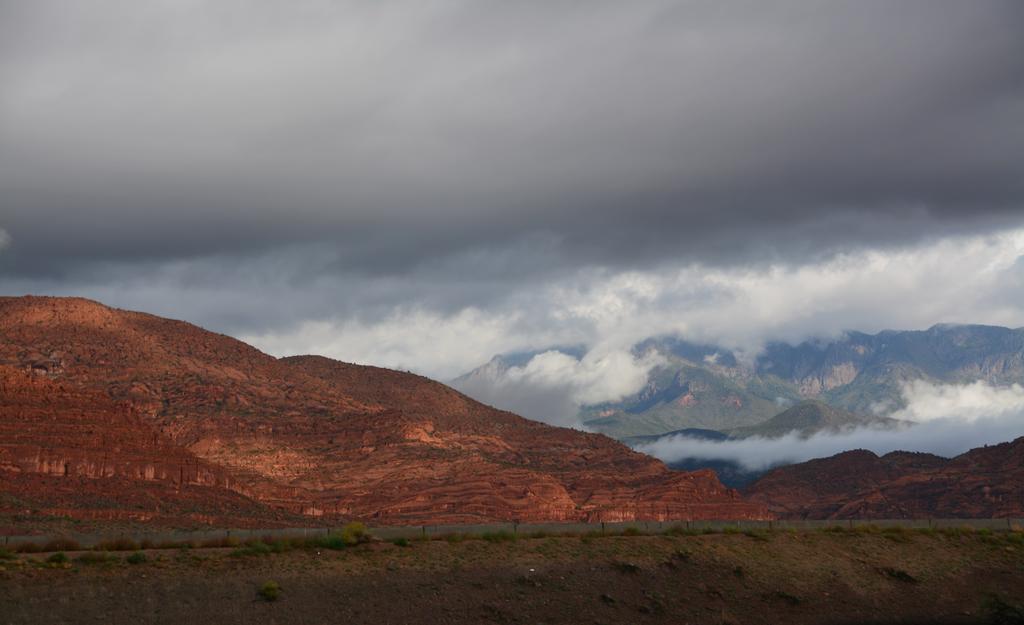 DSC_7134.jpg