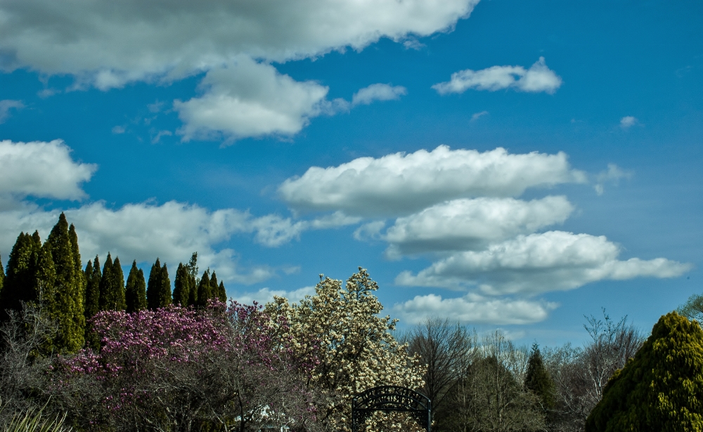 DSC_7139 (1000x615).jpg