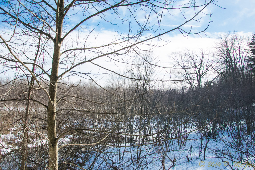 DSC_7144.jpg
