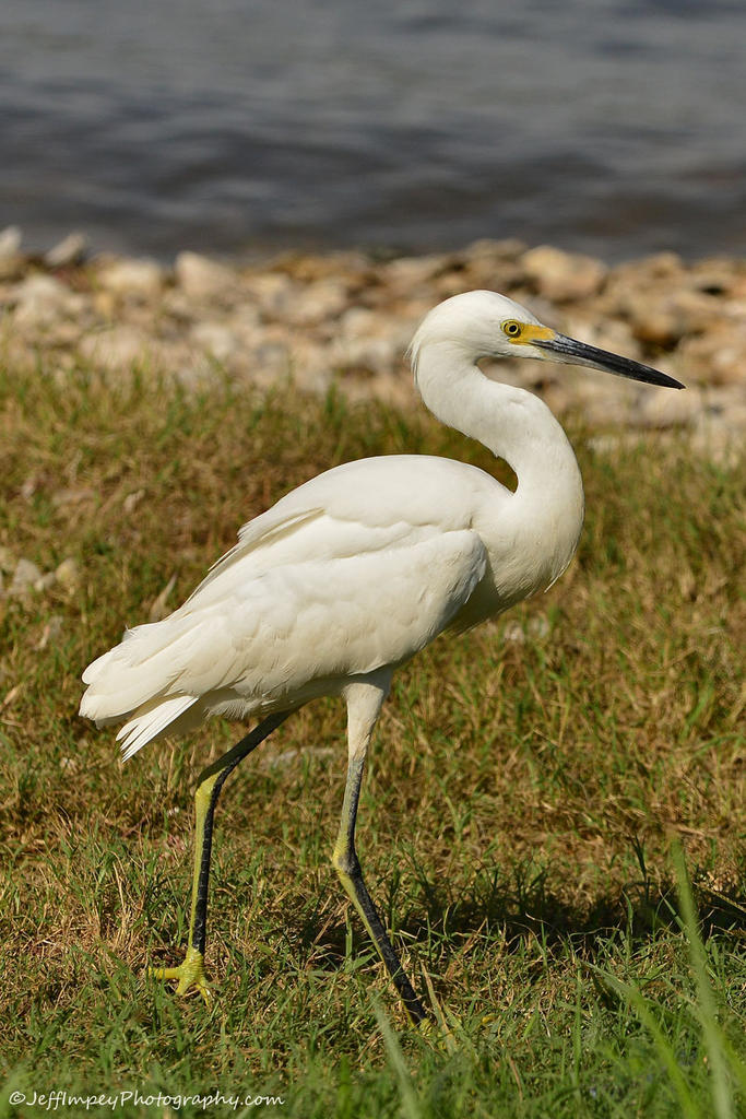DSC_7146.jpg