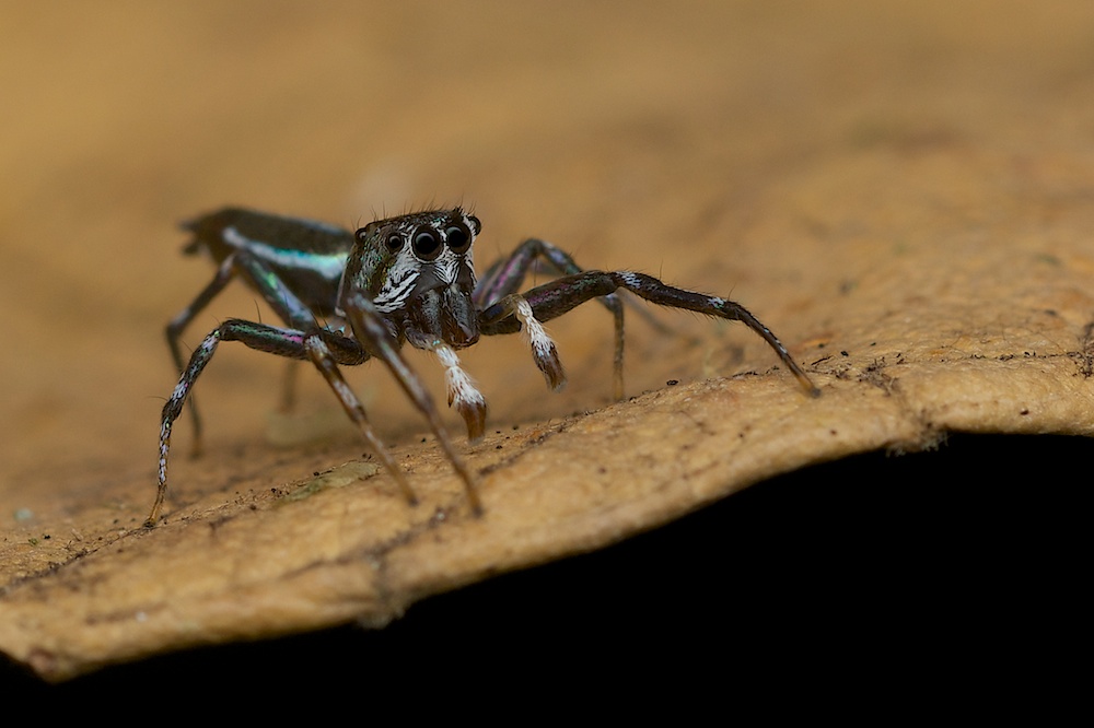 DSC_7150.jpg